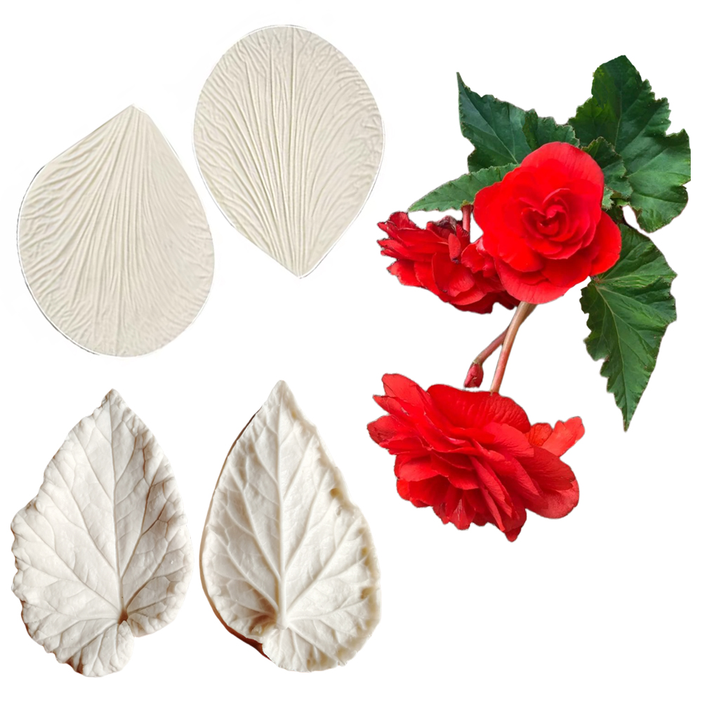 Begonia Tuberous Veiner Silico – Eco Art Craft recenzja i cena