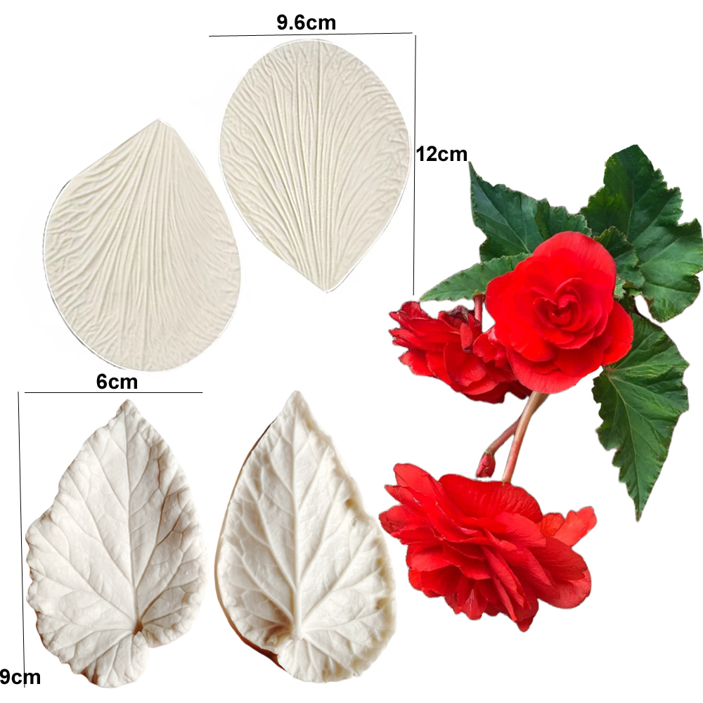 Begonia Tuberous Veiner Silico – Eco Art Craft recenzja i cena