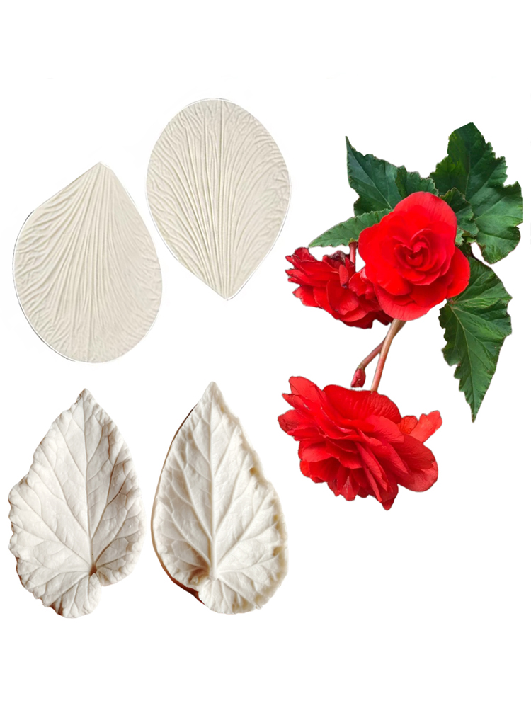 Begonia Tuberous Veiner Silico – Eco Art Craft recenzja i cena