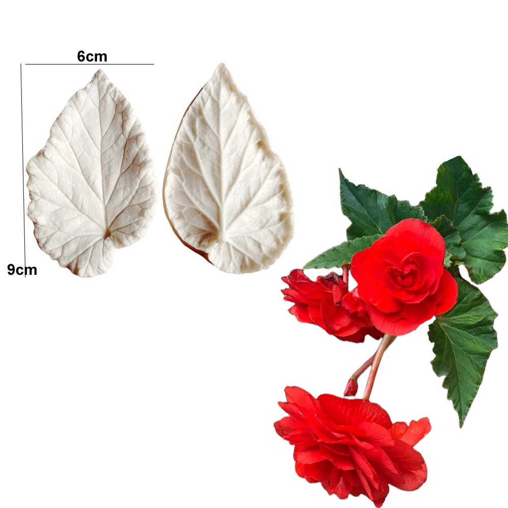 Begonia Tuberous Veiner Silico – Eco Art Craft recenzja i cena