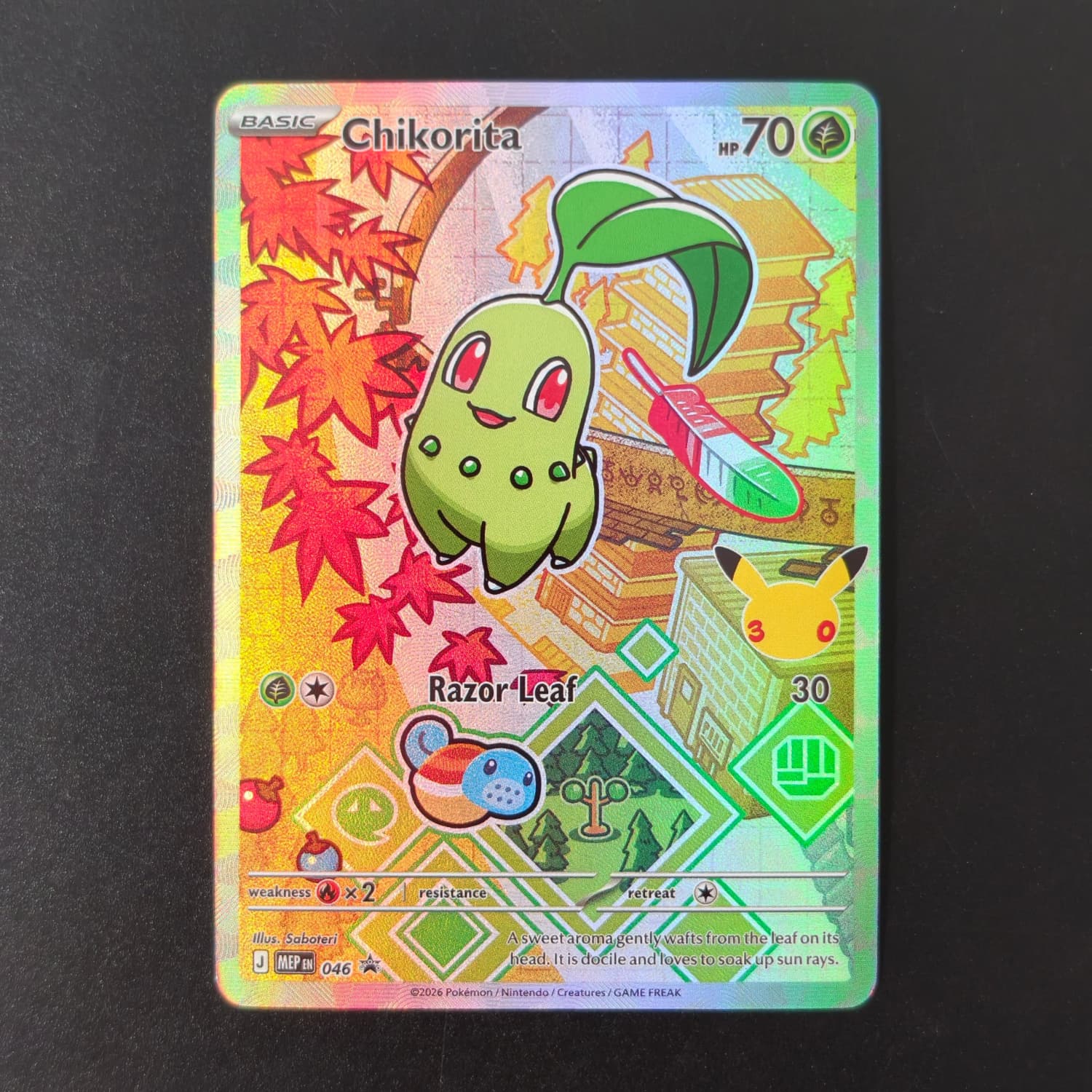 DIY Pokemon 30th Anniversary P – Art Craft Games recenzja i cena