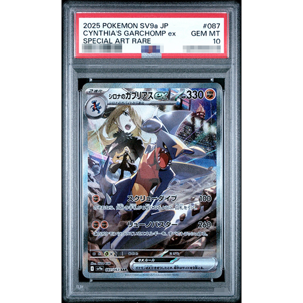 2025 Ptcg Collection Diy Proxy – Art Craft Games recenzja i cena