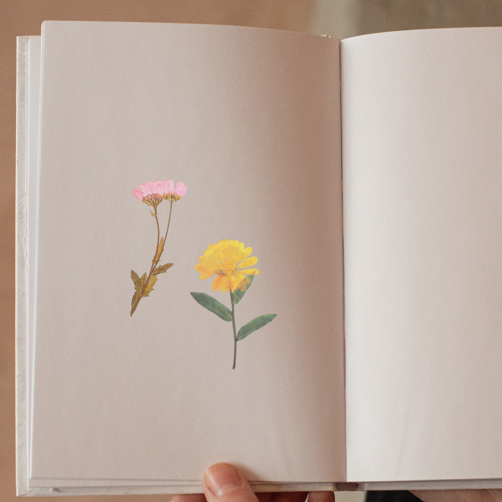 6 Packs Dried Flower Stickers  – Art Craft Journals recenzja i cena